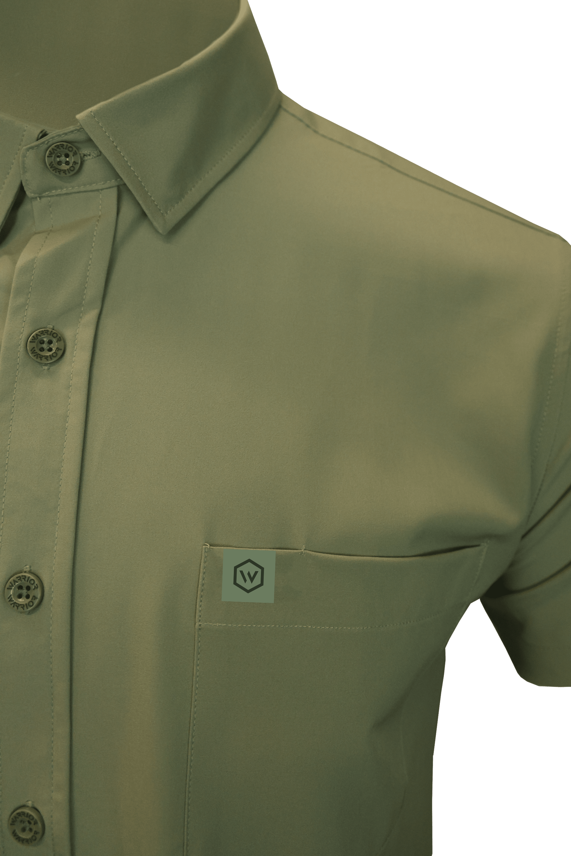 Solid DNC Light Button Down