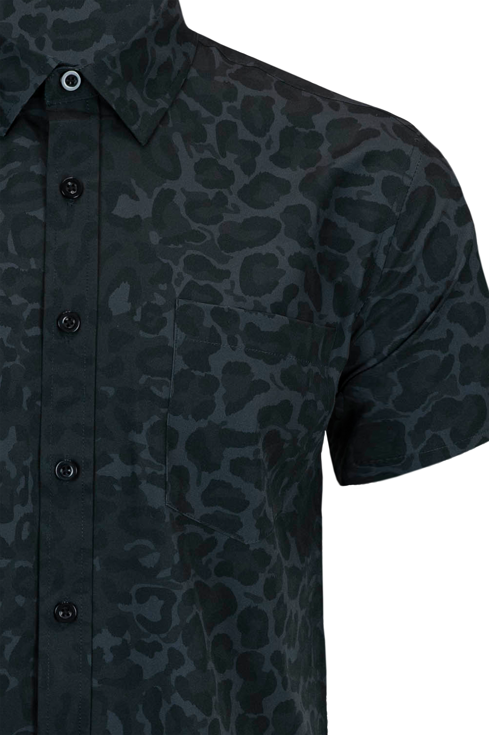 DPM Panther Button Down
