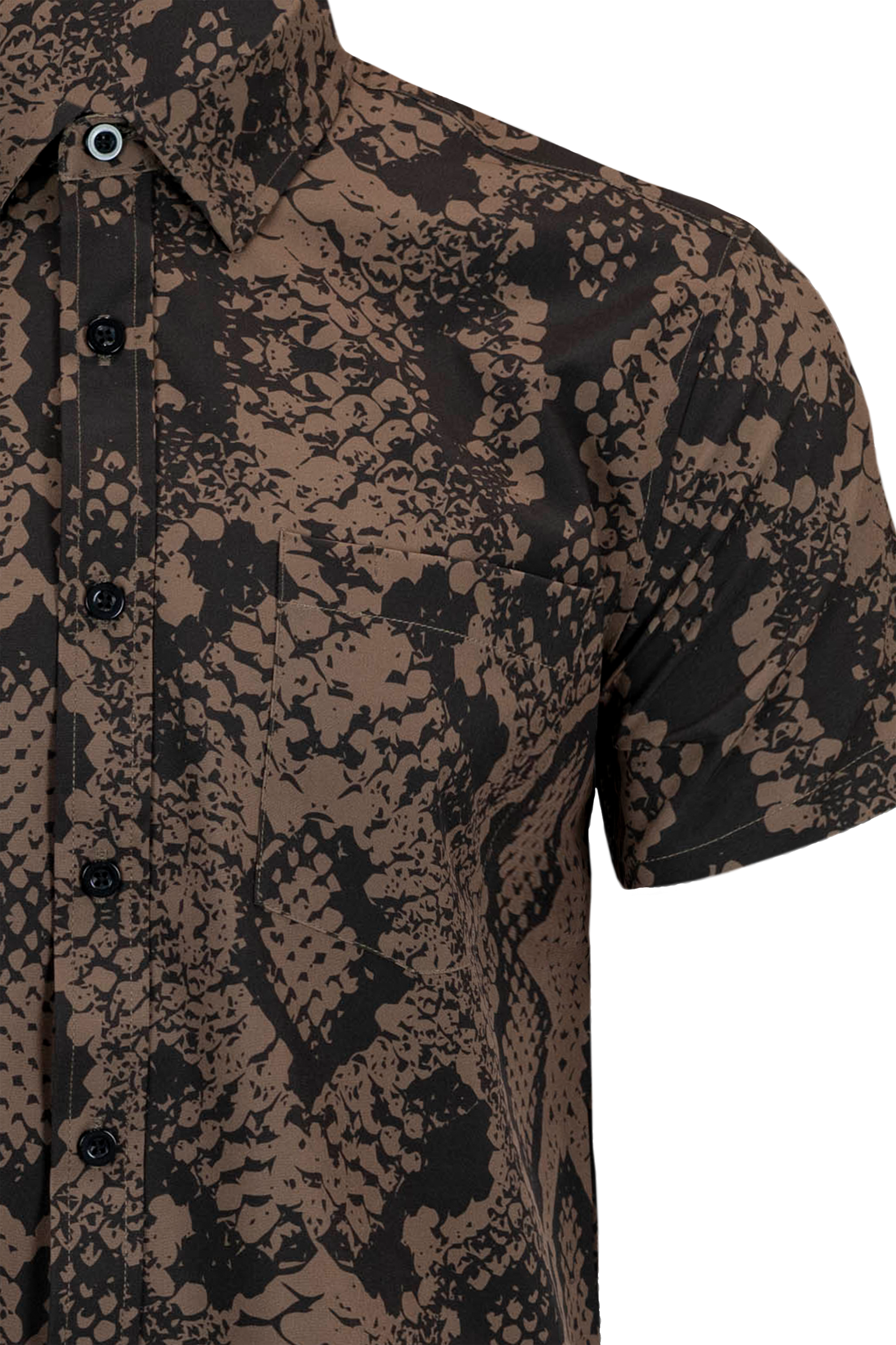 Naja Haje Button Down