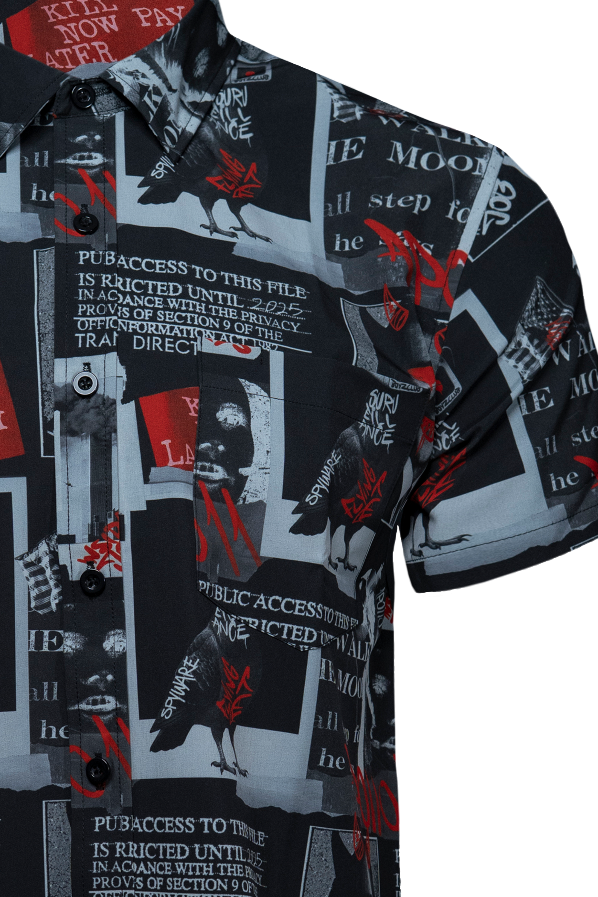 Conspiracy Theory V1 Button Down