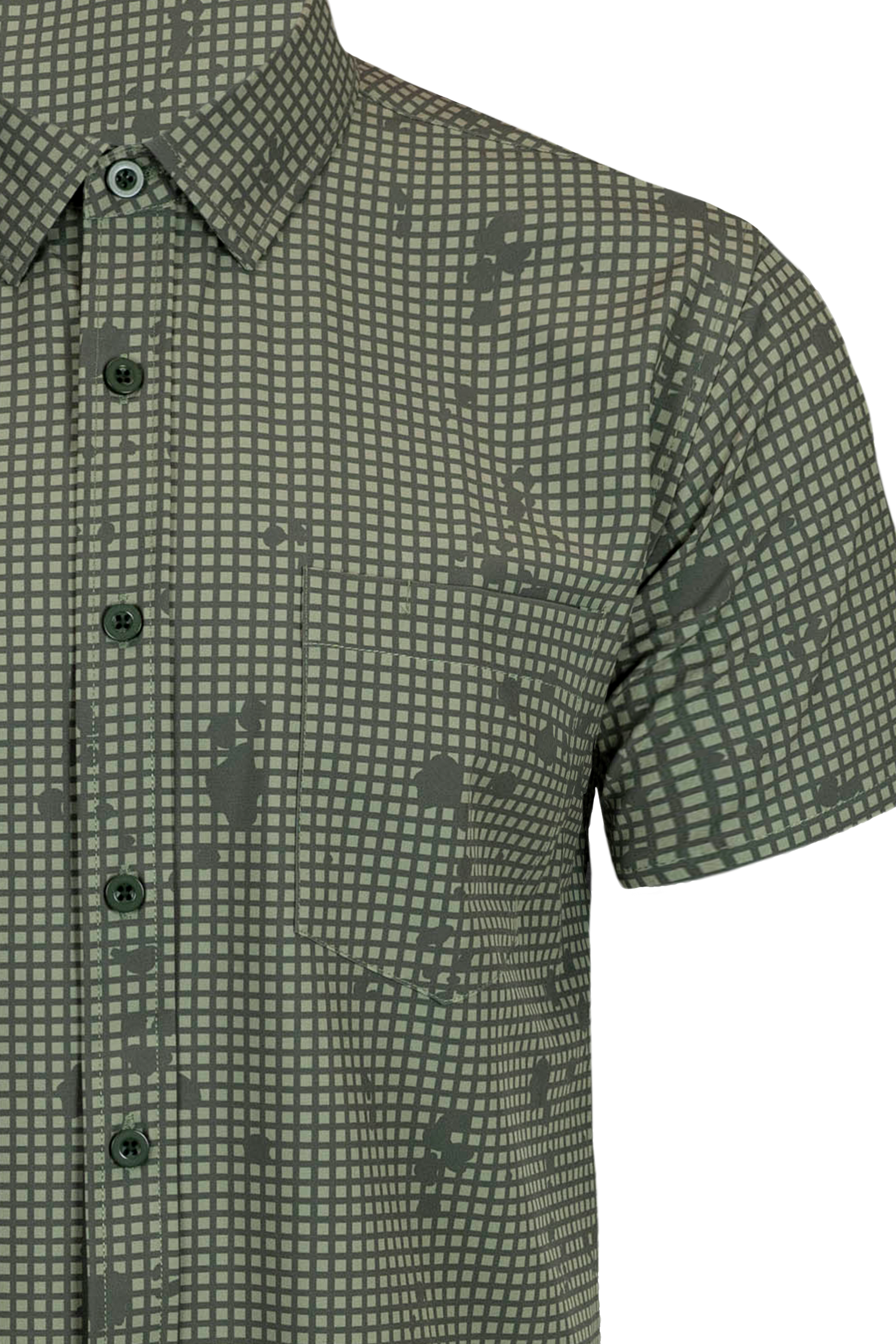 DNC Button Down